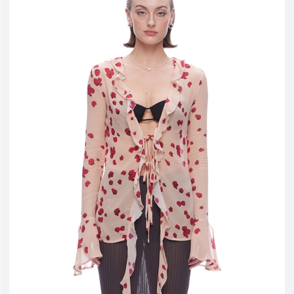 NWT Saemdi NUDE ROSE CHIFFON TOP Tie Long Sleeve Size Small S